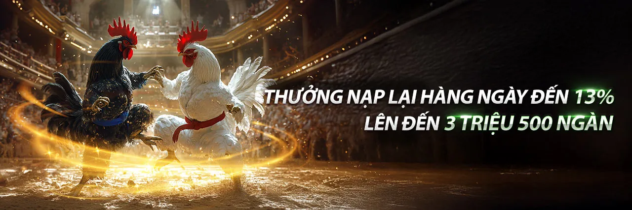 Sàn đá gà trực tuyến sôi động tại T88